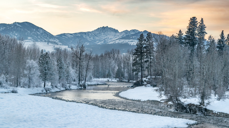 Icy river winding through Washington's snow-covered Methow Valley during winter