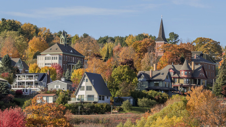 Buildings on a forested hill