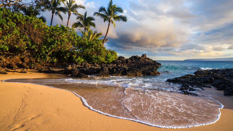 Hawaiian beach view