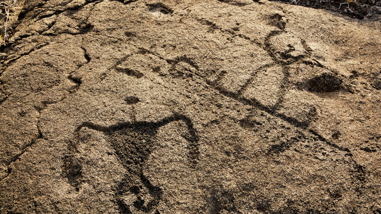 Petroglyphs in Hawaii