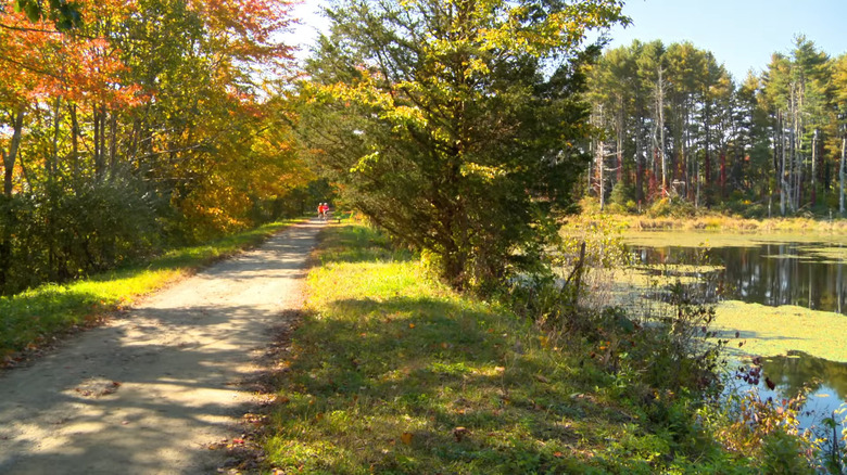 autumn trail by lake