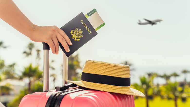 Person with suitcase holding passport