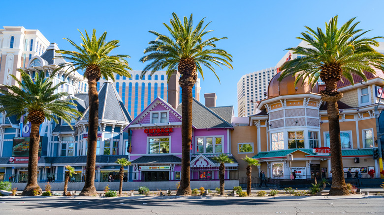 A view of buildings and palm trees in Las Vegas