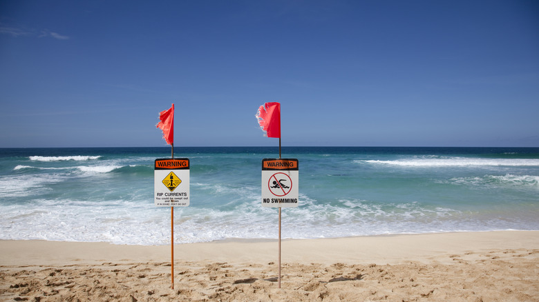 Red flags at a beach in Hawaii