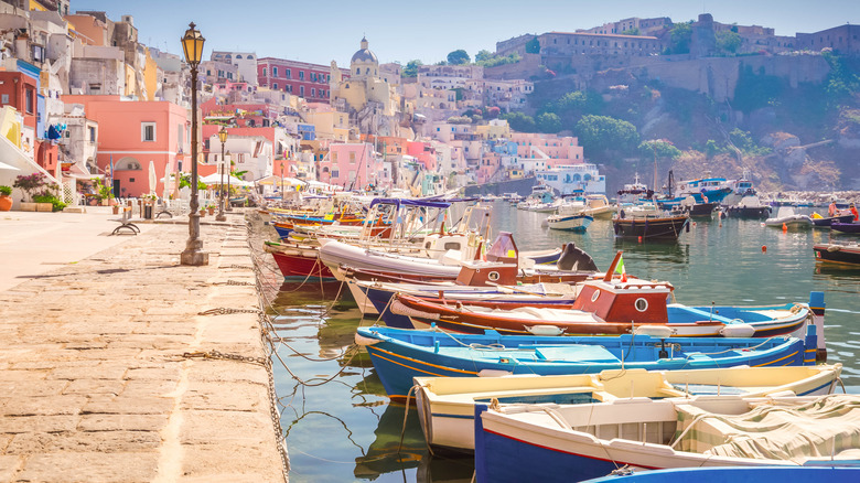 Fishing boats moored in colorful marina.