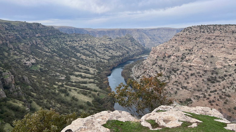 View of Hell's Creek