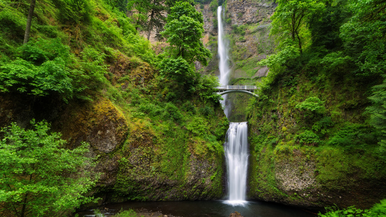 Multnomah Falls in the Columbia River Gorge