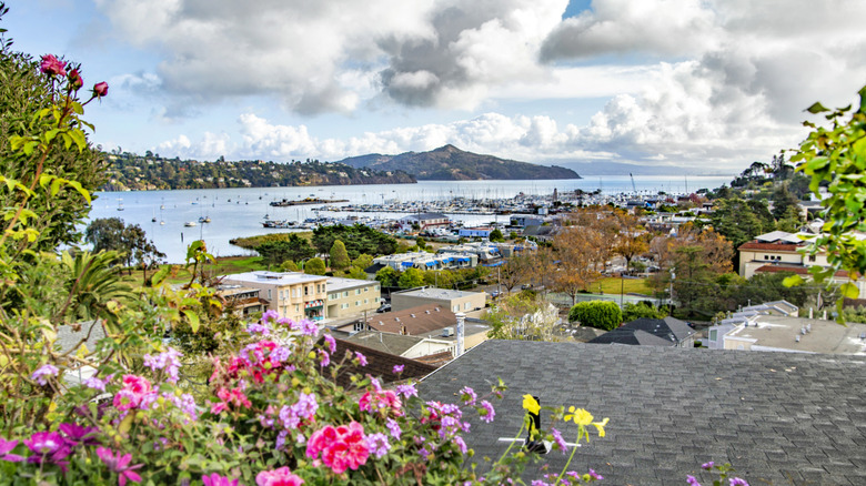 Town of Sausalito, California and marina