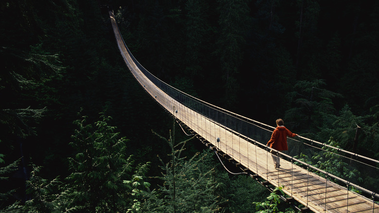 Capilano Suspension Bridge Park, Vancouver, Canada