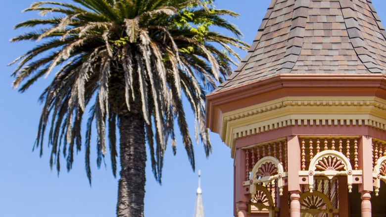 A palm tree next to a Victorian rooftop in Ferndale, California