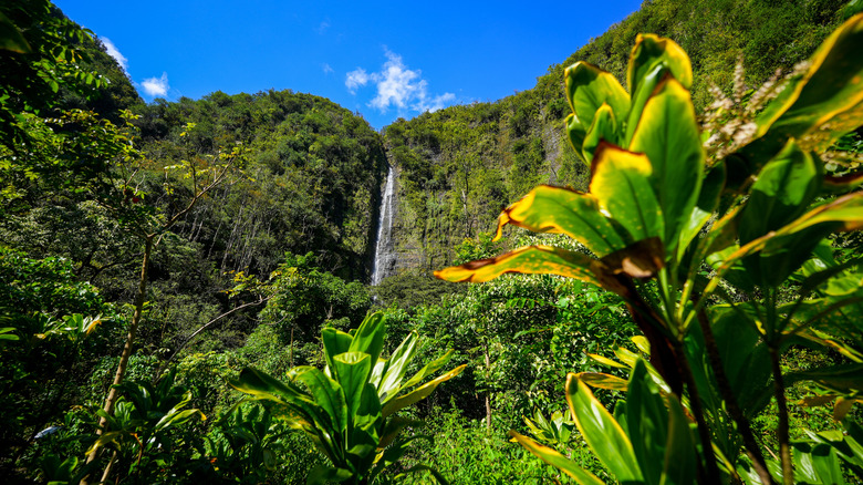 waterfall Haleakala National Park