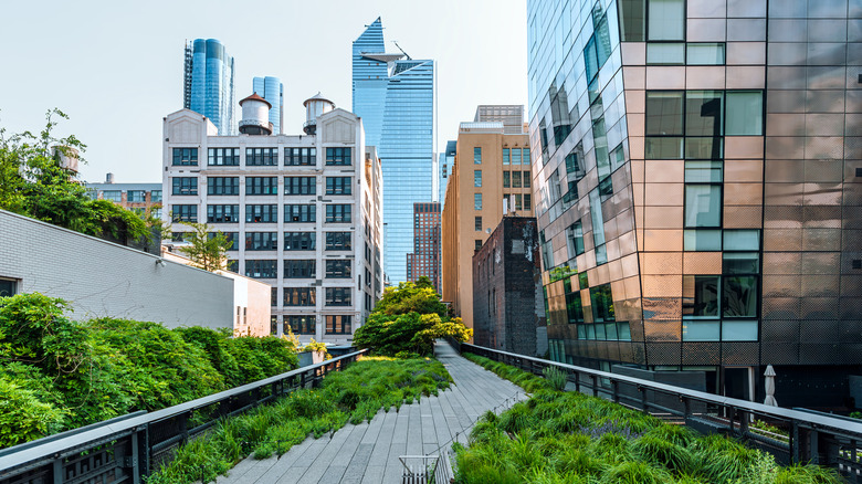 The High Line walkway in New York City