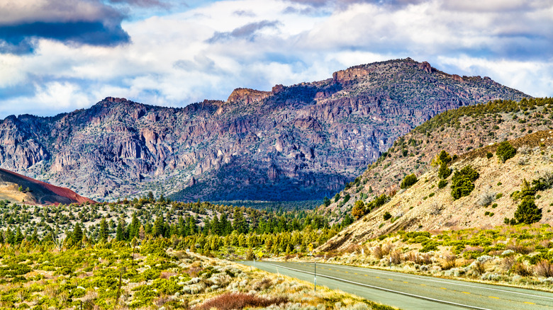 A section of the Volcanic Legacy Scenic Byway winds through the Cascade Range in California