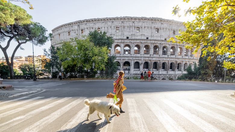 Woman crossing the street with dog in Rome