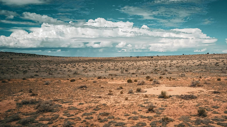 A desert in Arizona with clouds in the sky