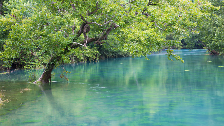 Turquoise waters of the Ozark National Scenic Riverways, Missouri