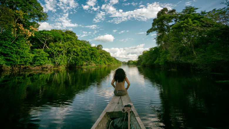 Traveler sitting on a canoe in the Amazon Rainforest