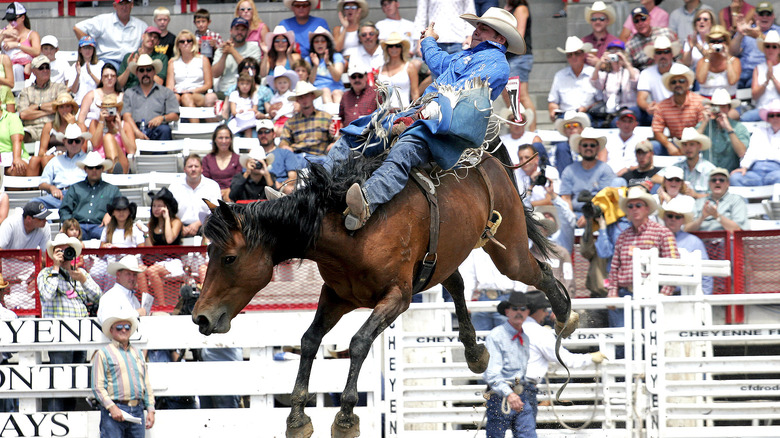 bareback rider on bronco at cheyenne frontier days rodeo