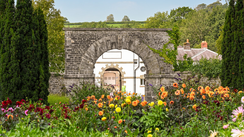 Flowers and arched gateway in the National Botanic Garden of Wales