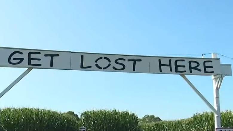 get lost here corn maze