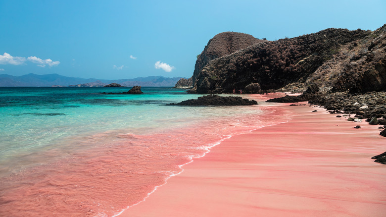 Pink beaches of Komodo, Indonesia