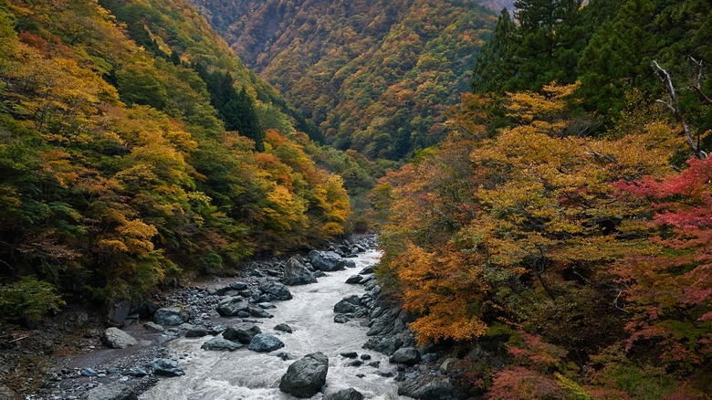 View of Yamanashi with fall foliage