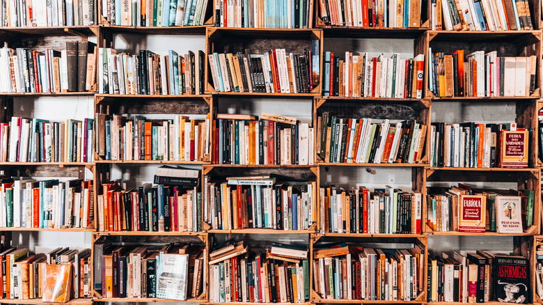 Bookshelves lined with books