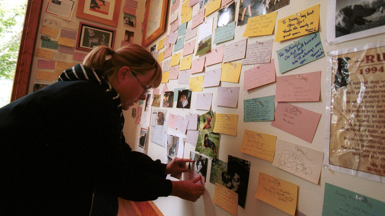 Woman putting photo on wall of chapel