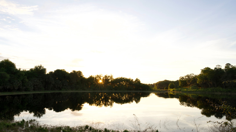 Spirit Pond in Cassadaga, Florida