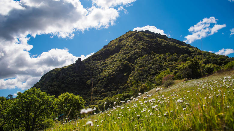 One of the peaks of Sutter Buttes