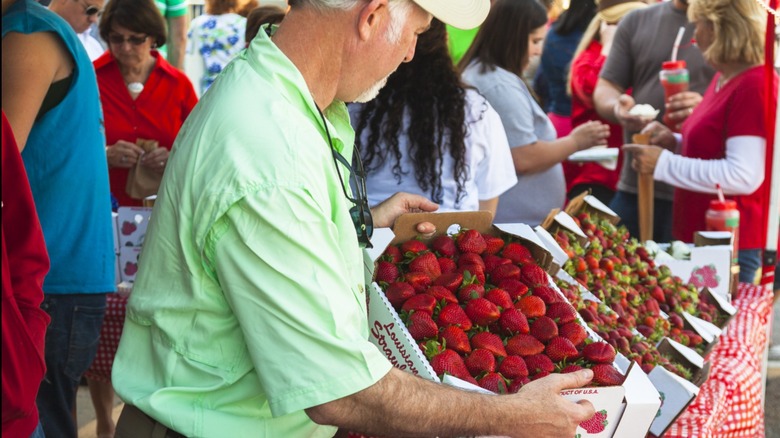 Man selling strawberries at the Strawberry Festival in Ponchatoula