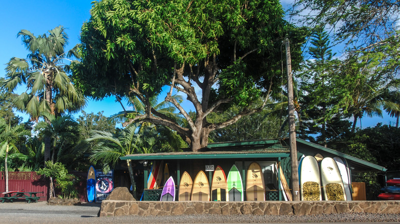 Scenic view of Haleiwa highway lined with surfboards