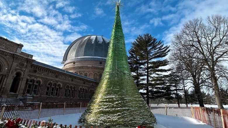 World's Tallest Glass Tree