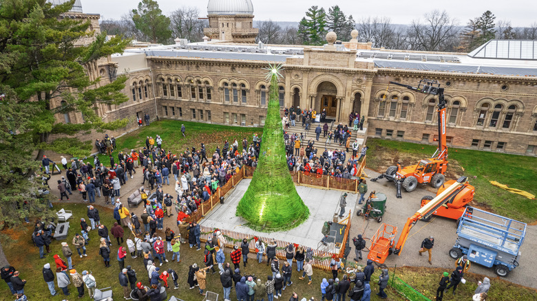 World's Tallest Glass Tree surrounded by people