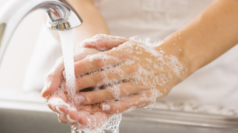 Person washing their hands