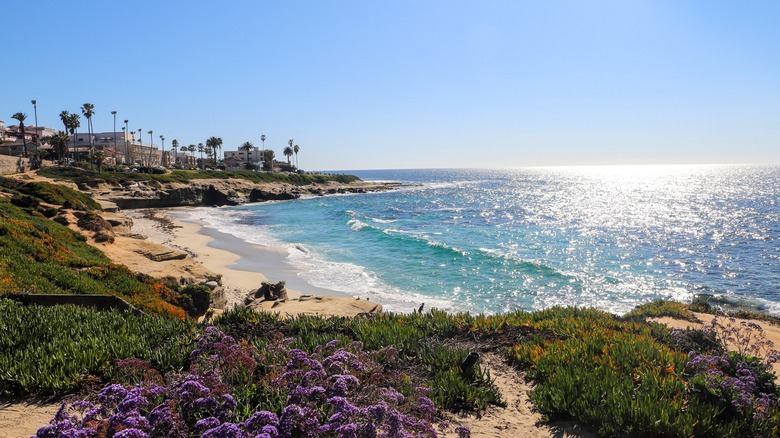 La Jolla beach monument hill