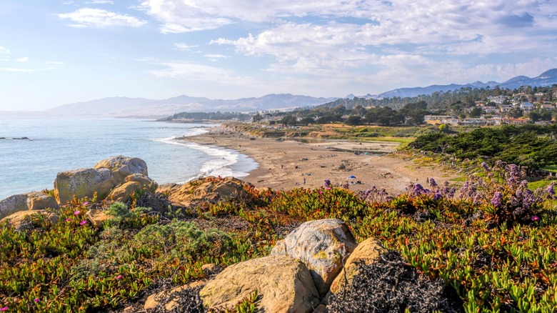 Moonstone Beach