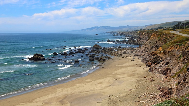 Sonoma State Park Salmon Creek Beach