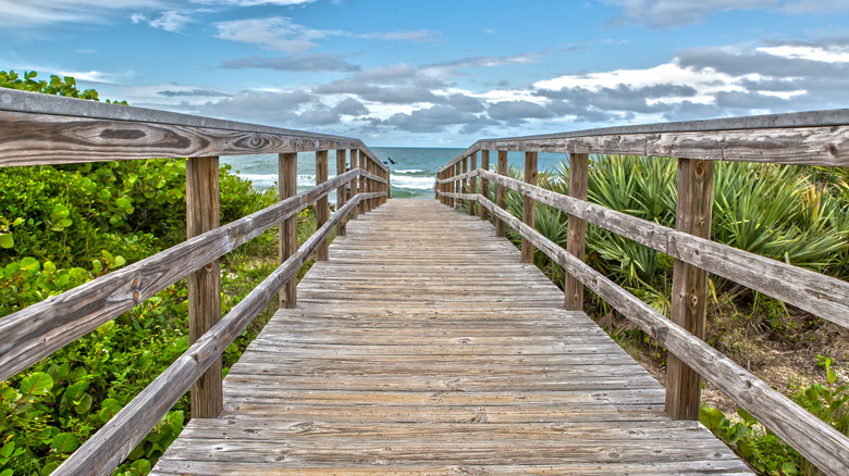 Boardwalk leading to beach at Canaveral National Seashore