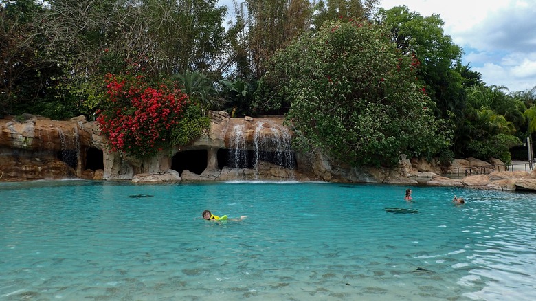 Child swimming at Discovery Cove