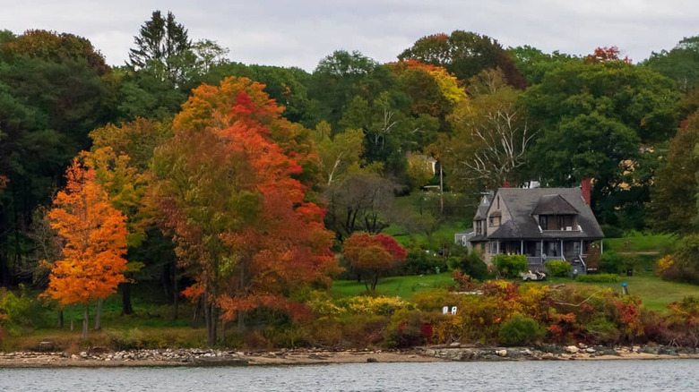 coastal Maine autumn scenery