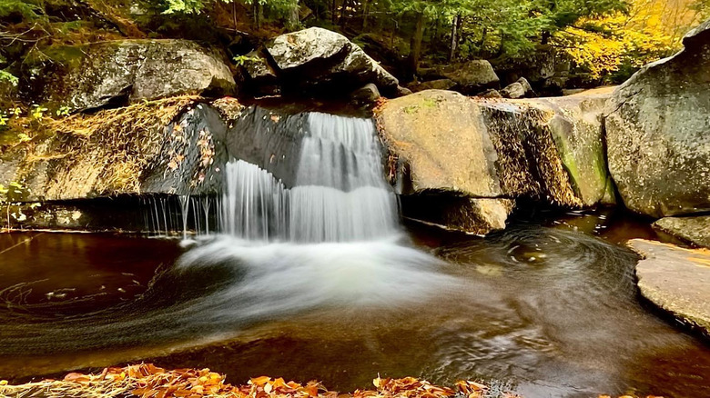 Coastal Maine Photo Tours picture