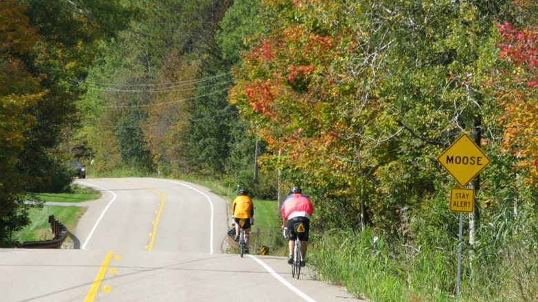 Great Bike Tours Vermont journey