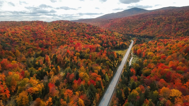 multicolored fall foliage in Vermont