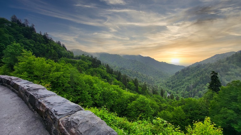 newfound gap road view