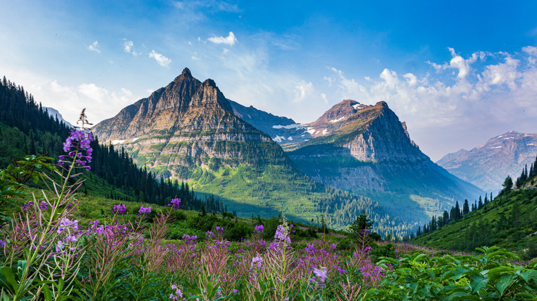 Glacier National Park's picturesque landscape