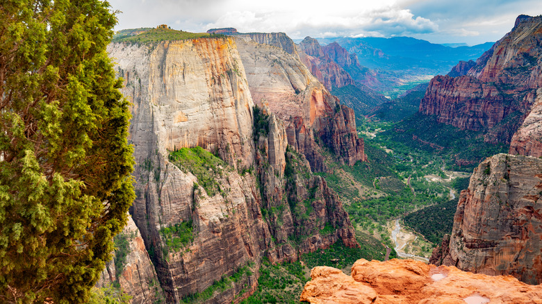 Zion National Park's diverse landscape