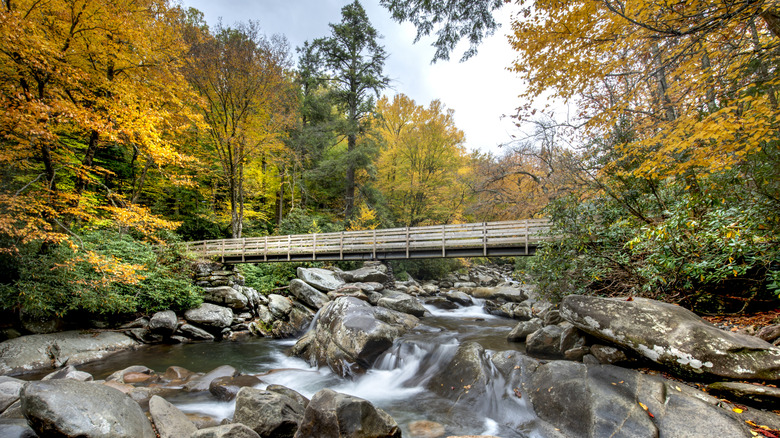 An overpass in the Smoky Mountains