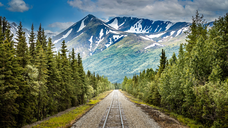 Train tracks in the Denali National Park