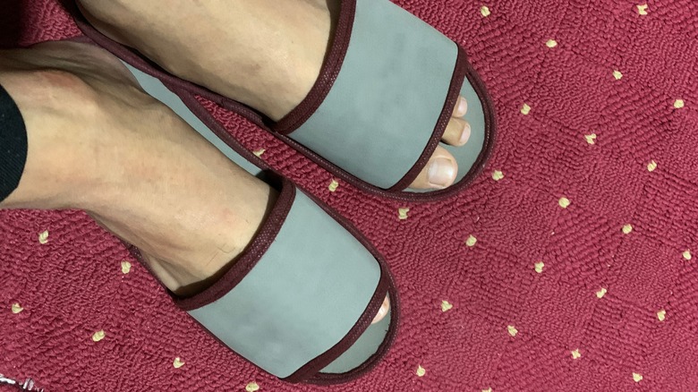 Person's feet clad in slippers